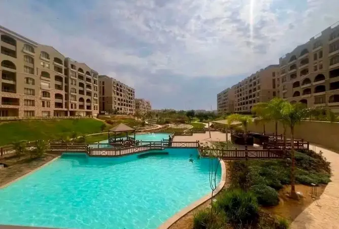 115167359 - Property Image 2