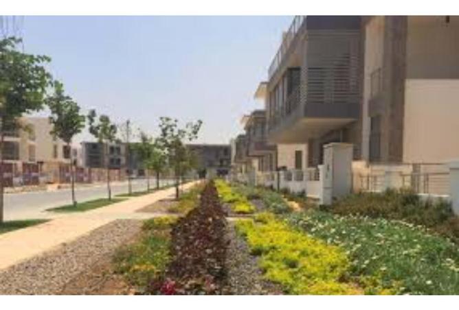 8608619 - Property Image 3