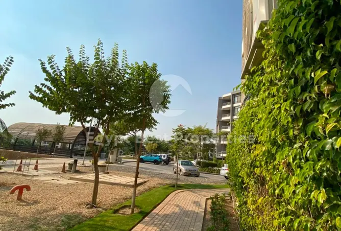 111591436 - Property Image 2
