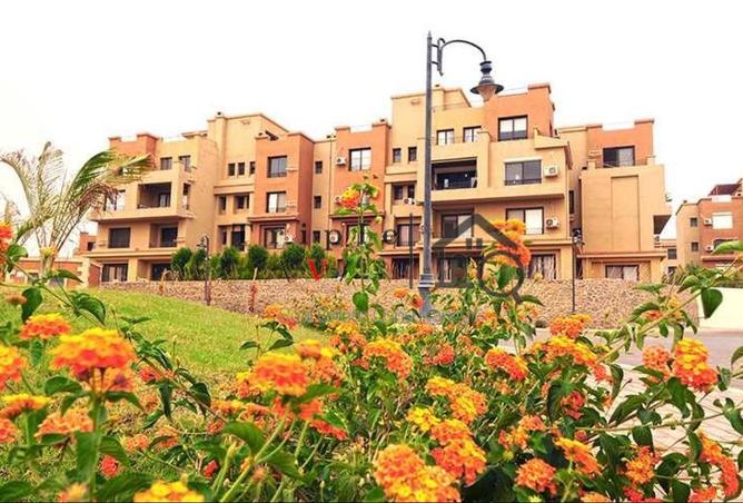 55253792 - Property Main Image