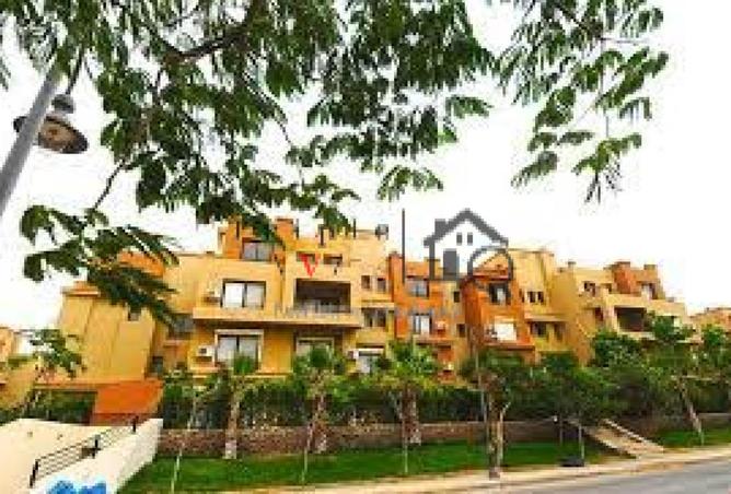 55253792 - Property Image 3