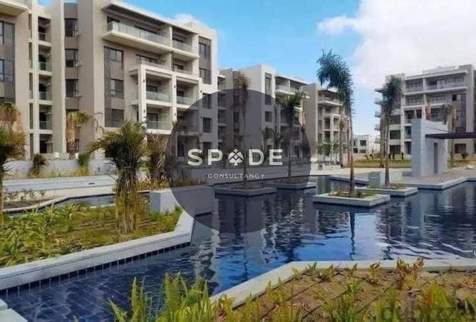 55498394 - Property Image 2