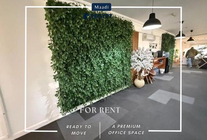 66175263 - صورة العقار 3