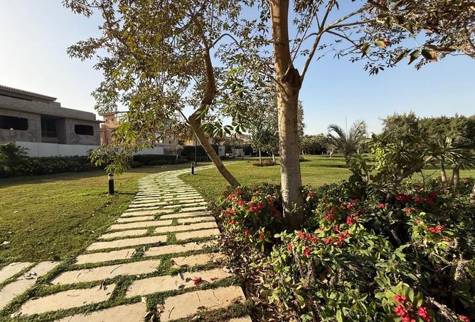 53727192 - صورة العقار 2