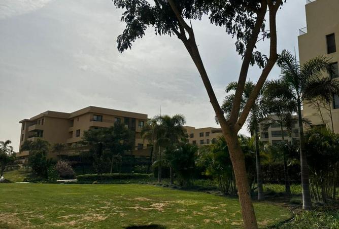 58243001 - Property Image 3