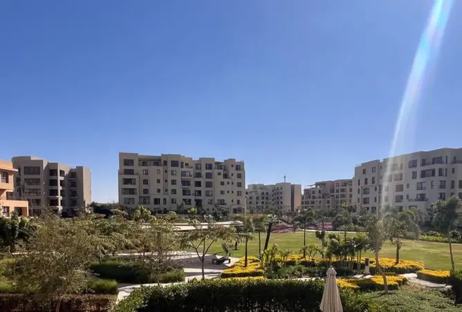 113245615 - صورة العقار 3
