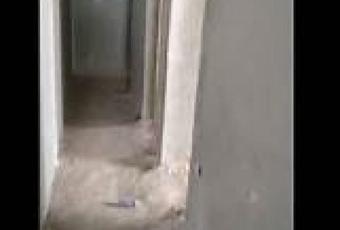 98543619 - Property Image 2