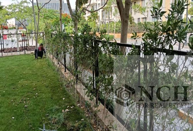 59246293 - صورة العقار 3