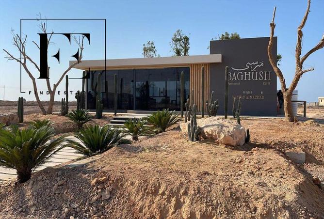 8608931 - Property Image 3