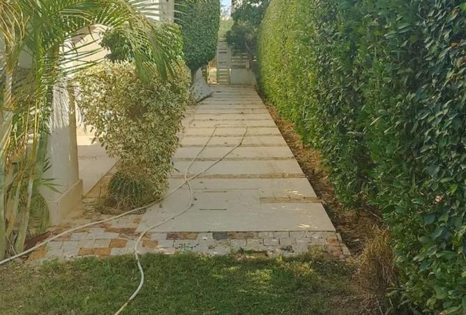 97141187 - Property Image 3