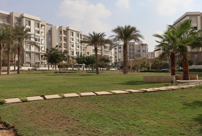 104596217 - صورة العقار 3