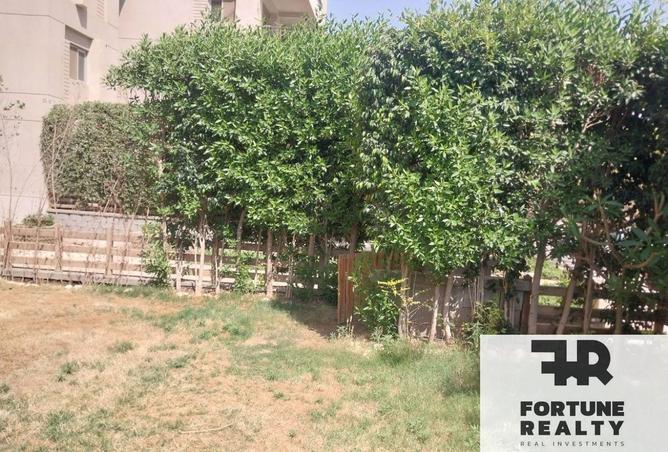 55997070 - Property Image 2