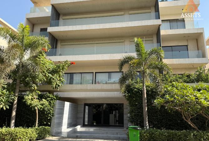 98010668 - Property Image 3