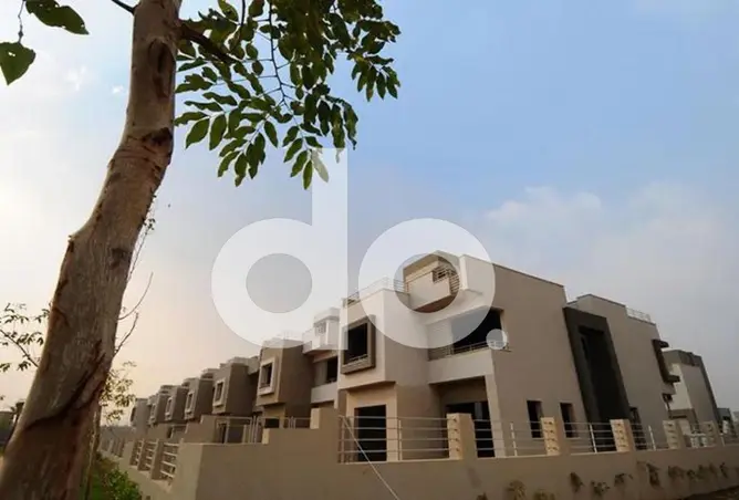 117264206 - Property Image 2