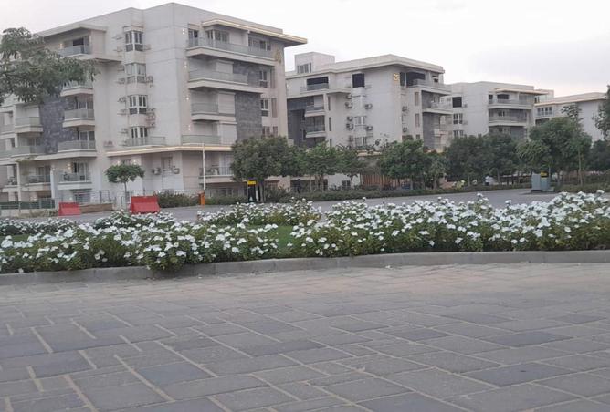 81307578 - صورة العقار 2