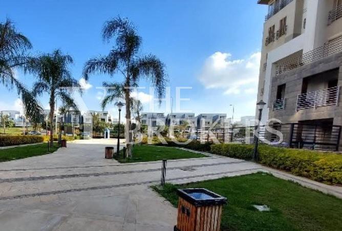 54239515 - صورة العقار 3