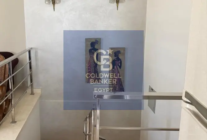 117279611 - صورة العقار 3