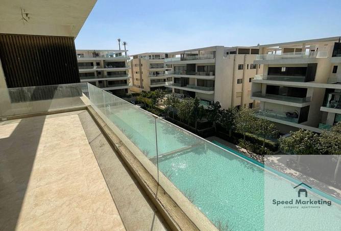 65413266 - Property Image 3