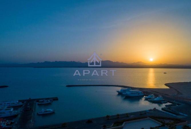 66435376 - صورة العقار 3