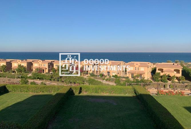 81048561 - Property Image 3