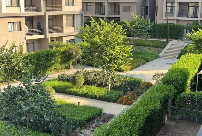 70362084 - صورة العقار 3