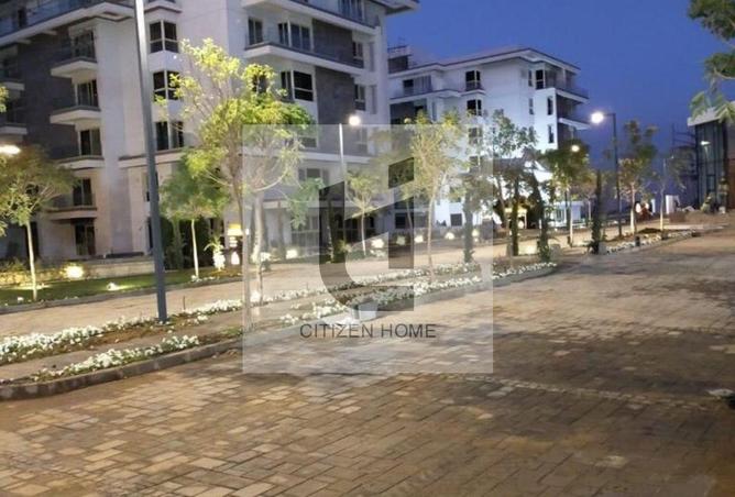 83673855 - Property Image 3