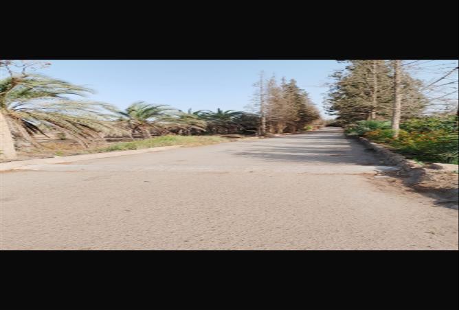 59988889 - صورة العقار 2