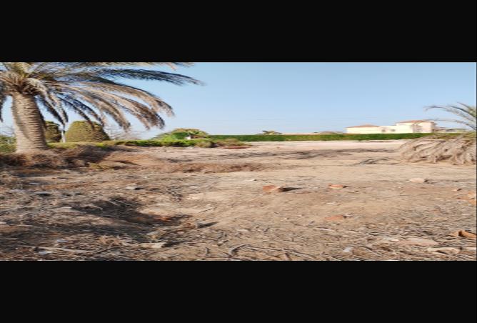 59988889 - صورة العقار 3