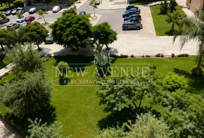 106838358 - Property Image 2