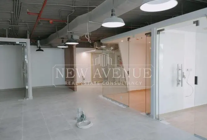 113261678 - Property Image 3