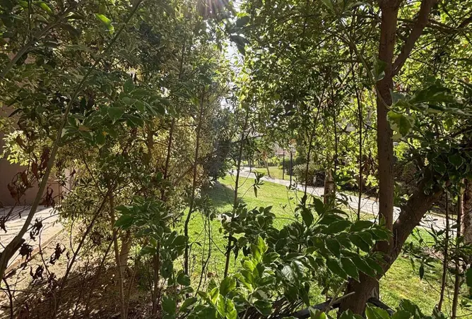 99798571 - Property Image 2