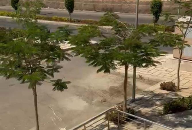 65656184 - الصورة الرئيسية للعقار