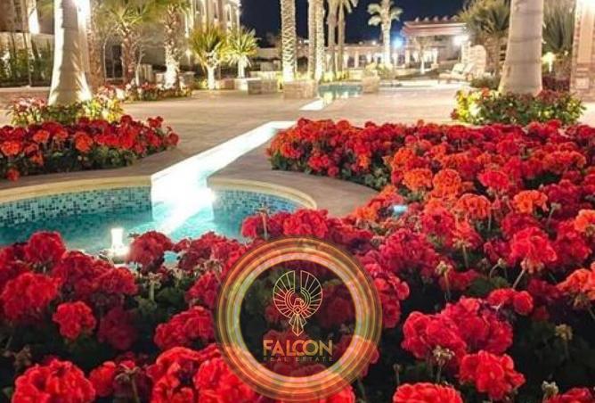 8439741 - Property Image 3