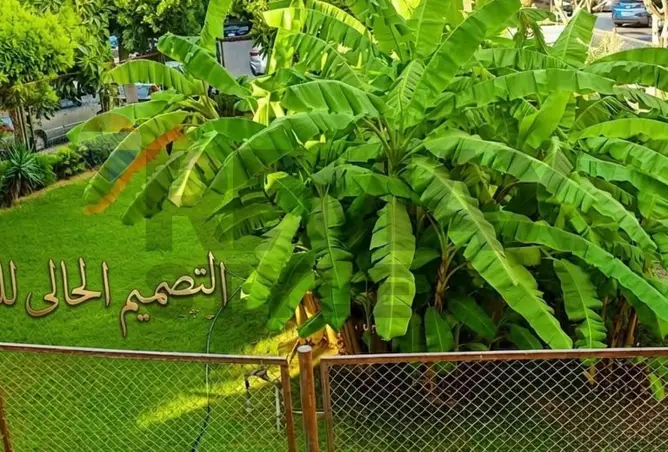 111019025 - صورة العقار 2