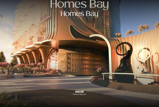 70358278 - Property Image 2