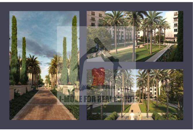 68006028 - Property Image 3