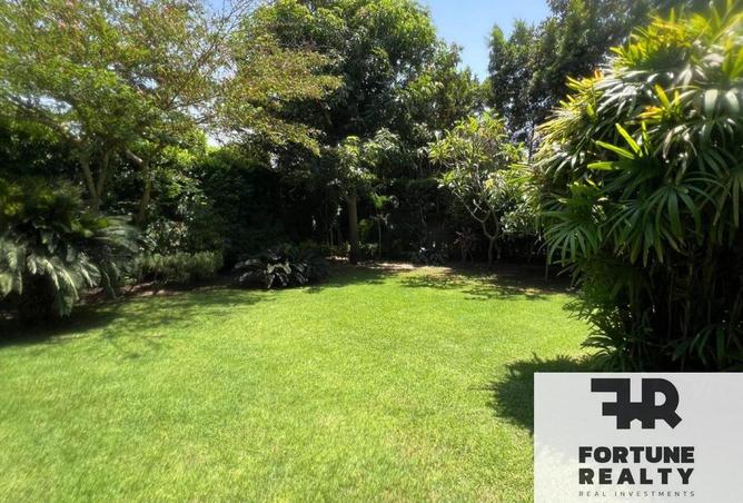 58740580 - صورة العقار 3