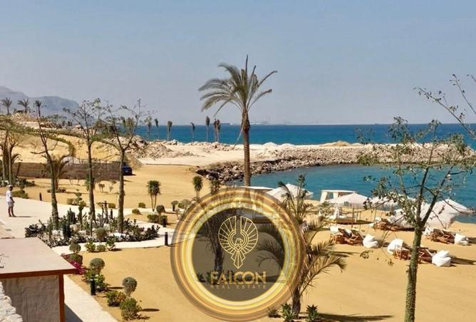 65916451 - صورة العقار 2