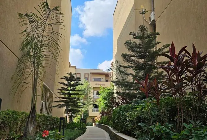 114888050 - صورة العقار 2