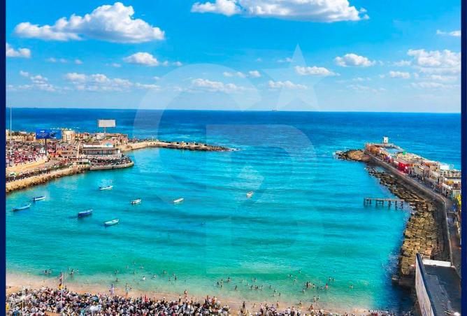 97994783 - الصورة الرئيسية للعقار