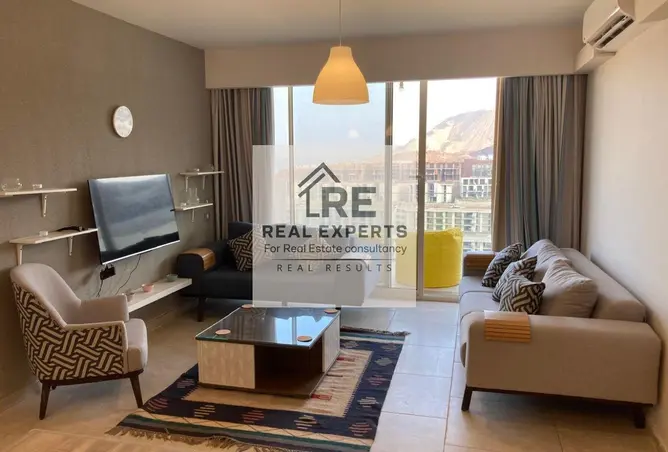 117542083 - Property Image 2