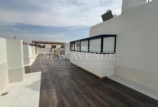 113260228 - Property Image 3