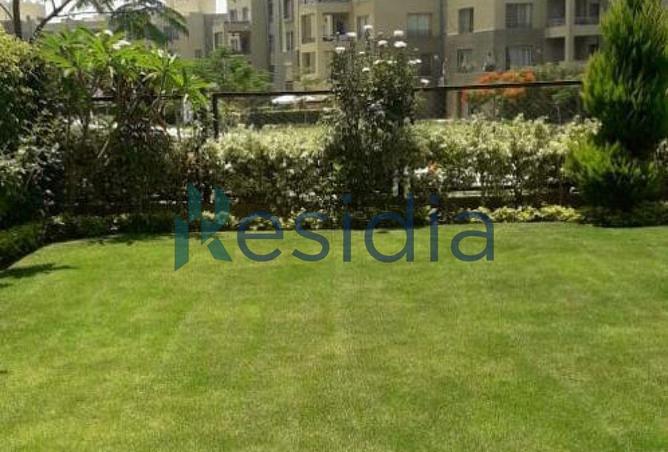 56247967 - صورة العقار 3