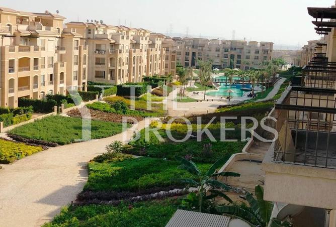 56250592 - Property Image 3