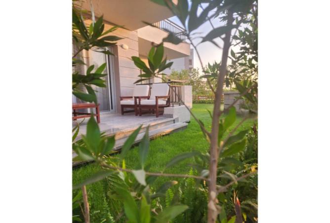 63635901 - Property Image 3