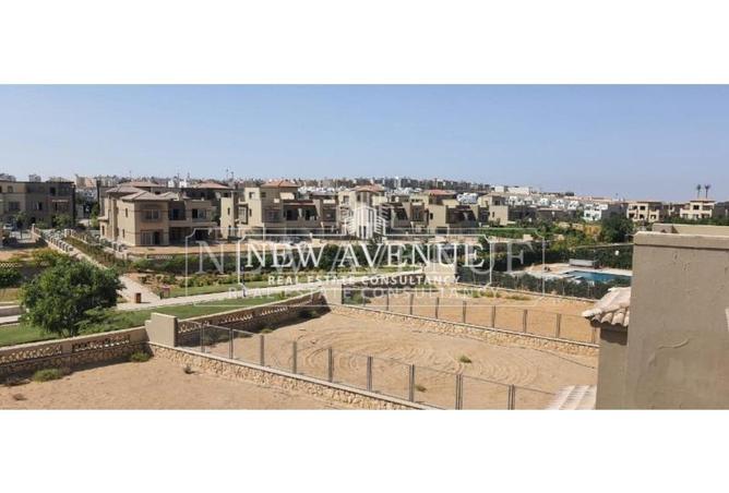 100916742 - Property Image 3