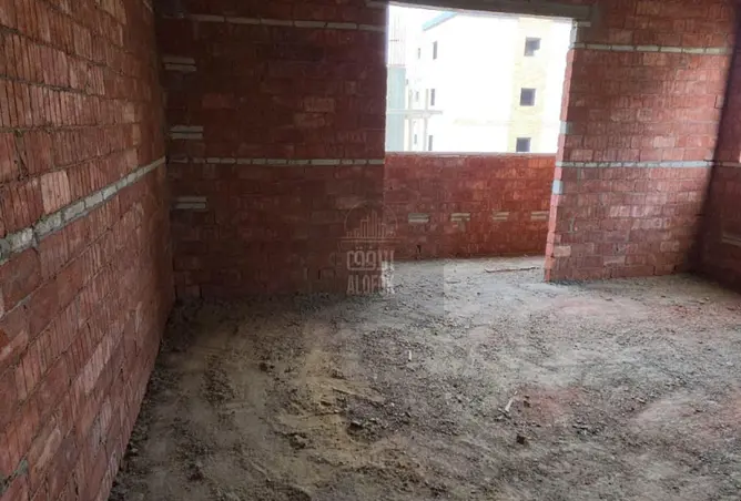 113801318 - Property Image 3