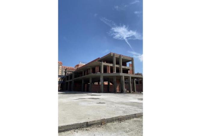 8428607 - صورة العقار 3