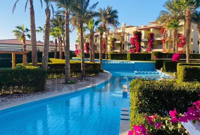 53725486 - Property Image 2