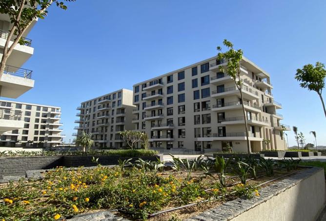 8441954 - Property Image 3